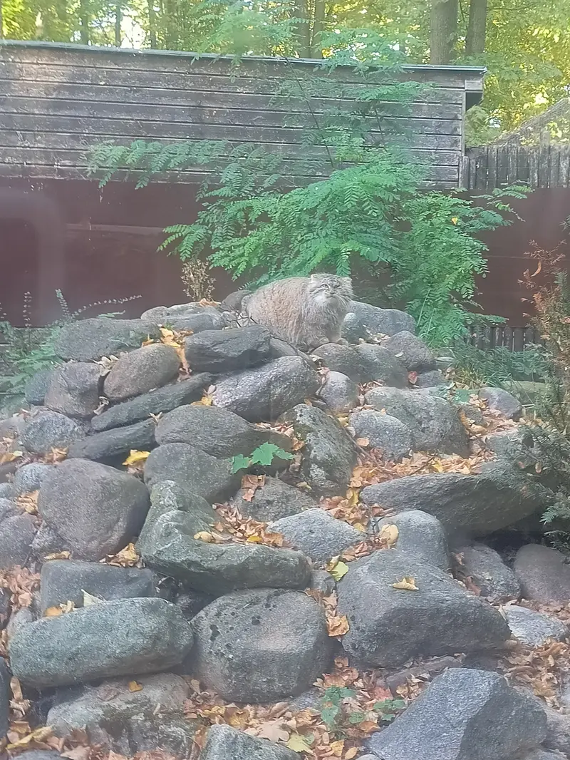 A photograph of Bozenka in Poznan New Zoo