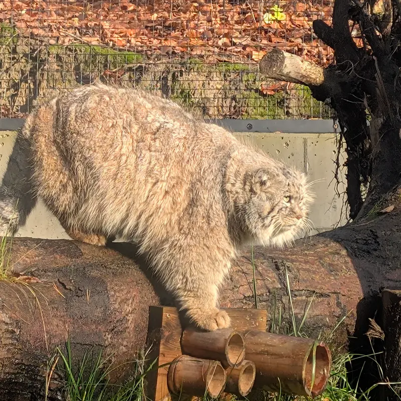 A photograph of Manuel in Gdansk Zoo