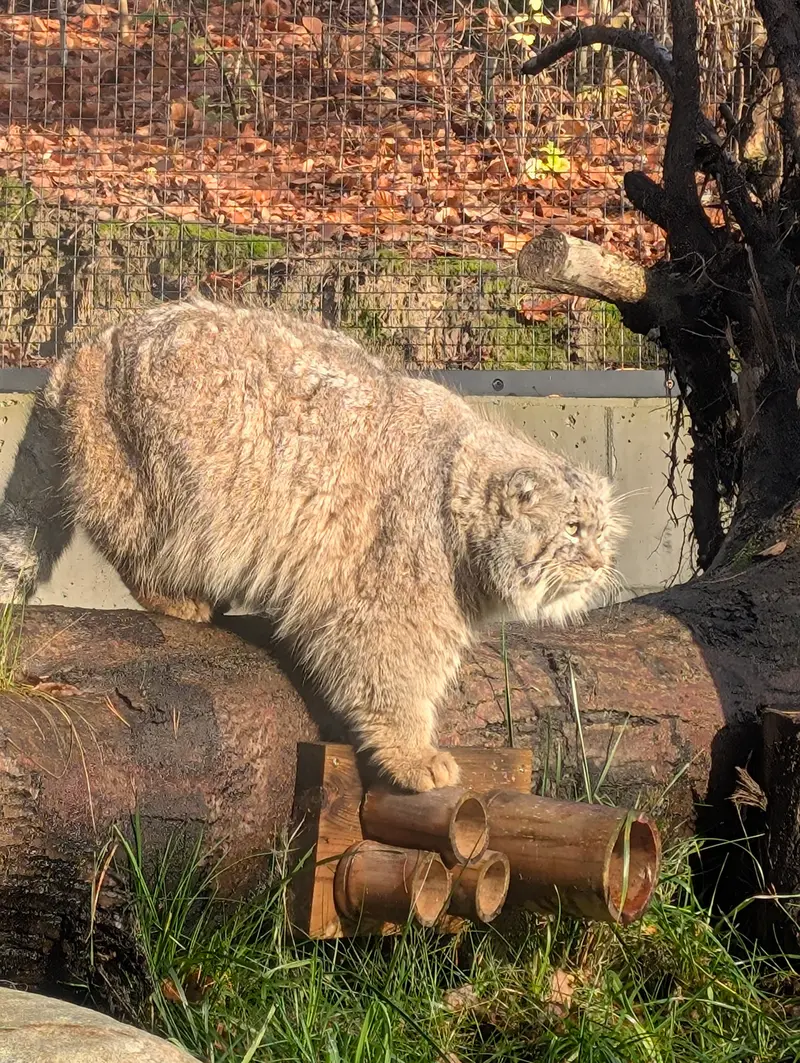 A photograph of Manuel in Gdansk Zoo