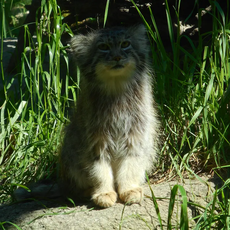 A photograph of Manuel in Gdansk Zoo