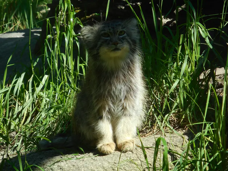 A photograph of Manuel in Gdansk Zoo