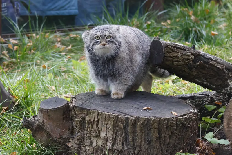 A photograph of Timofey in Moscow zoo