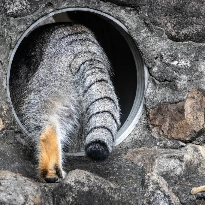 A photograph of Timofey in Moscow zoo