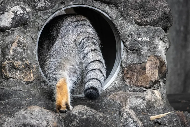 A photograph of Timofey in Moscow zoo