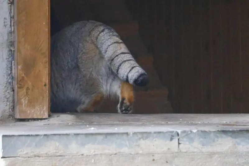 A photograph of Timofey in Moscow zoo