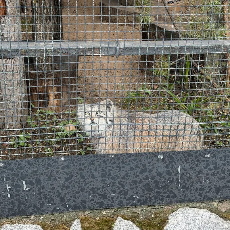 A photograph of Namika in Leningrad zoo