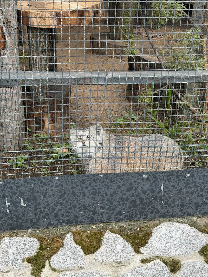 A photograph of Namika in Leningrad zoo