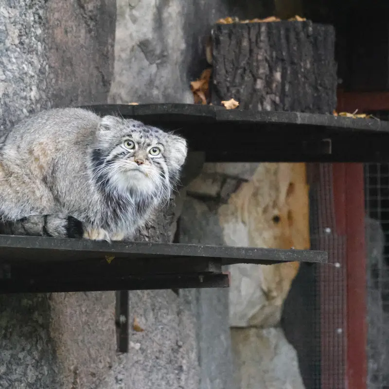 A photograph of Timofey in Moscow zoo