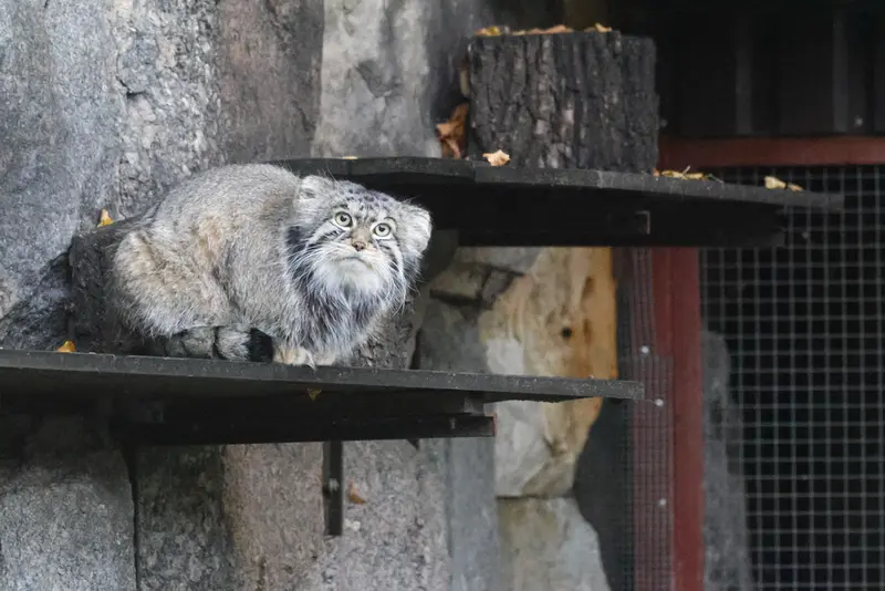 A photograph of Timofey in Moscow zoo