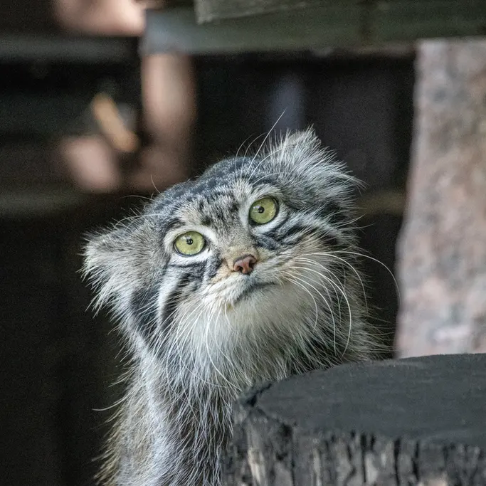 A photograph of Timofey in Moscow zoo