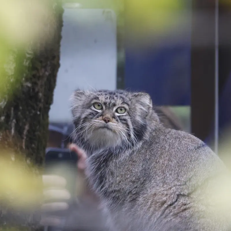 A photograph of Timofey in Moscow zoo