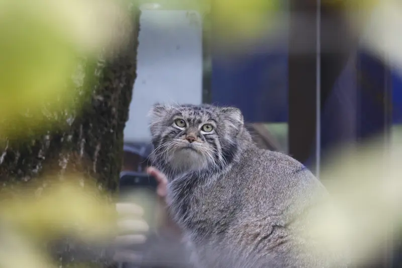 A photograph of Timofey in Moscow zoo