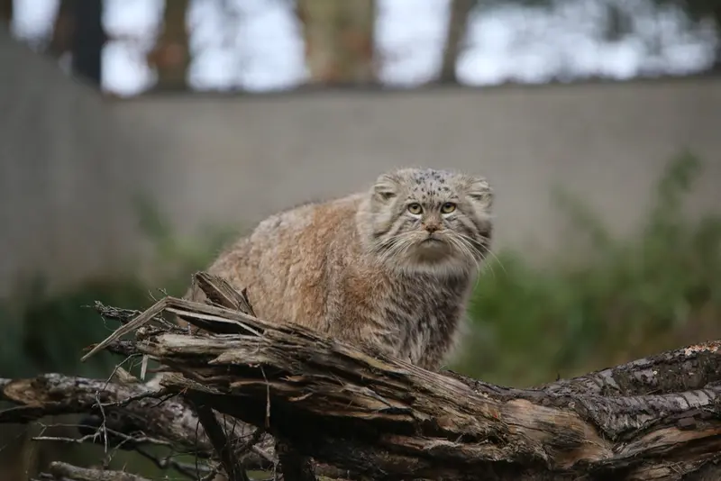 A photograph of Manuel in Gdansk Zoo