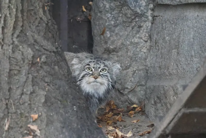 A photograph of Timofey in Moscow zoo
