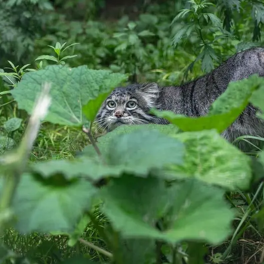 A photograph of Timofey in Moscow zoo