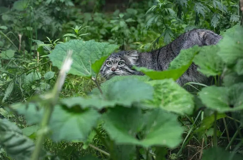 A photograph of Timofey in Moscow zoo