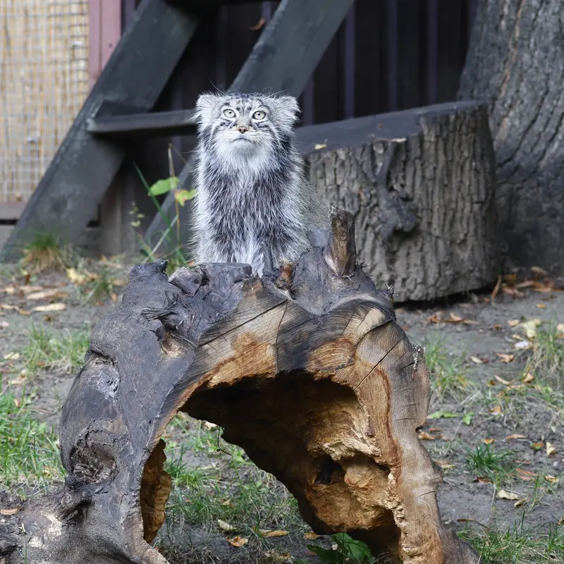 A photograph of Timofey in Moscow zoo