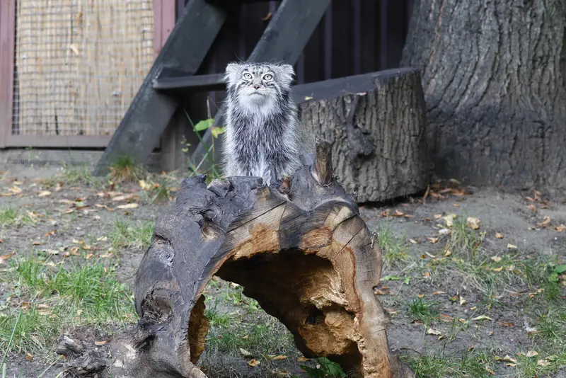 A photograph of Timofey in Moscow zoo