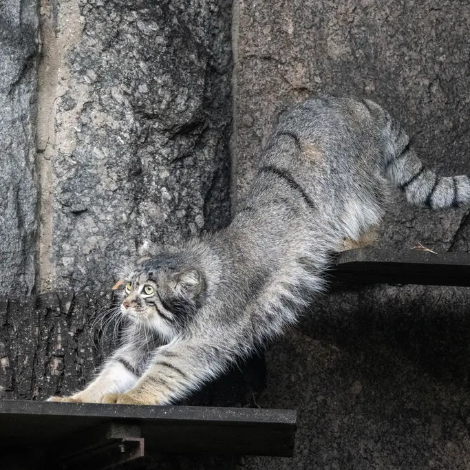 A photograph of Timofey in Moscow zoo