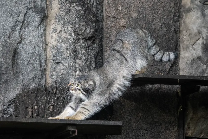 A photograph of Timofey in Moscow zoo