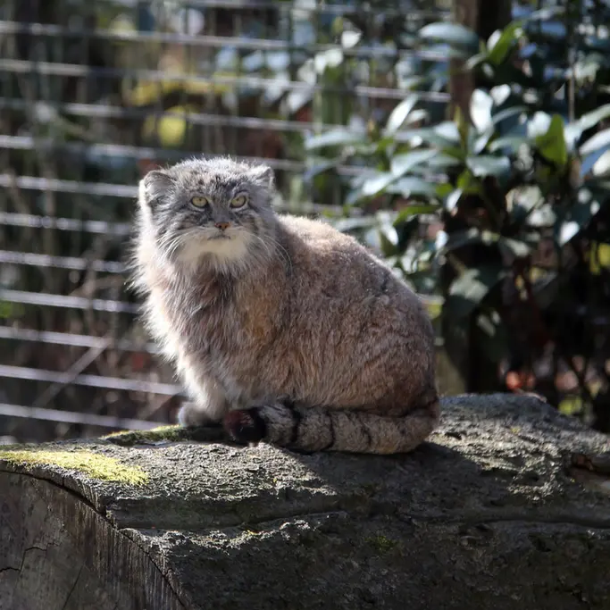A photograph of Moira in Ostrava Zoo