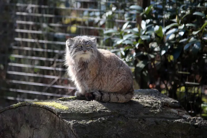 A photograph of Moira in Ostrava Zoo
