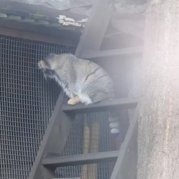 A photograph of Timofey in Moscow zoo