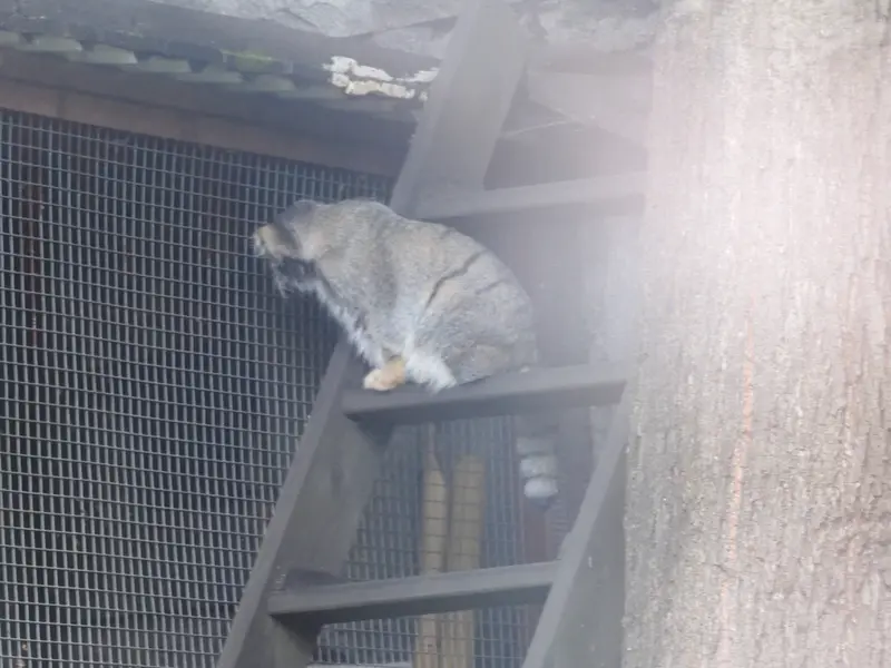 A photograph of Timofey in Moscow zoo