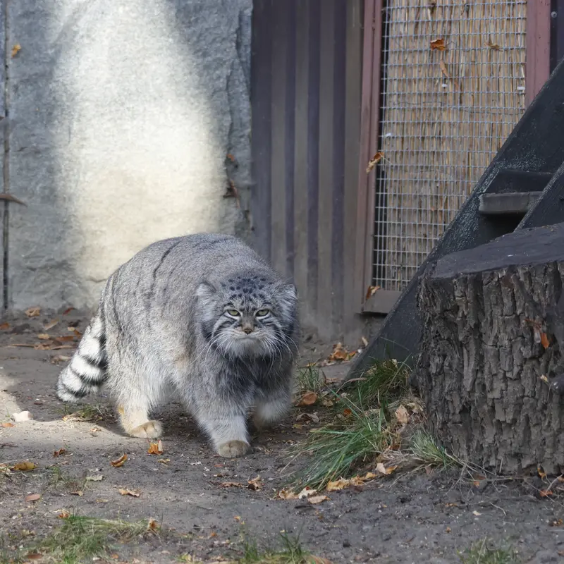 A photograph of Timofey in Moscow zoo