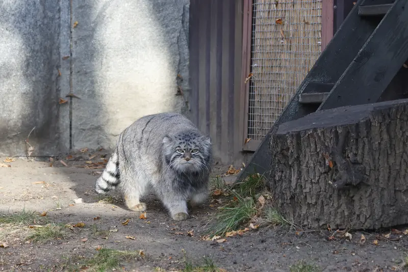 A photograph of Timofey in Moscow zoo