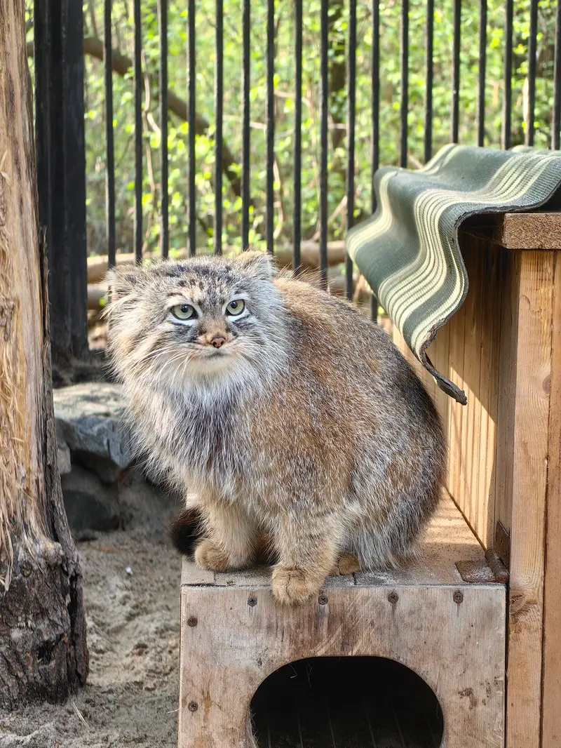 A photograph of Gabi in Novosibirsk Zoo