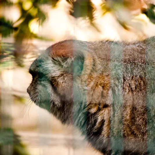 A photograph of Jonathan in Magdeburg Zoo