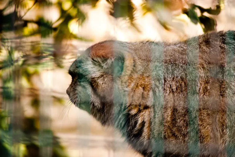 A photograph of Jonathan in Magdeburg Zoo