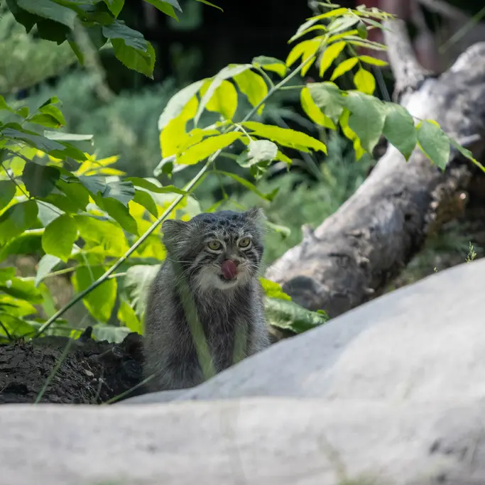 A photograph of Timofey in Moscow zoo