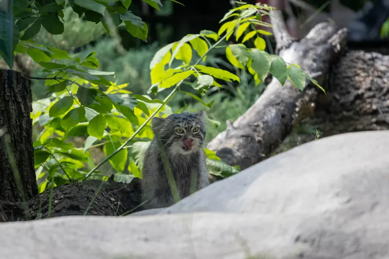 A photograph of Timofey in Moscow zoo