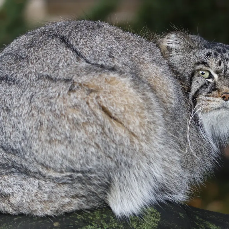 A photograph of Timofey in Moscow zoo