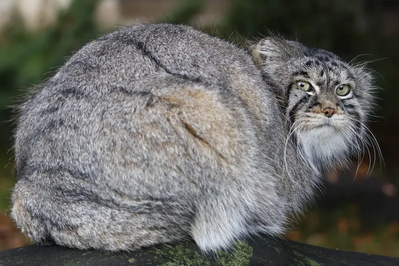 A photograph of Timofey in Moscow zoo