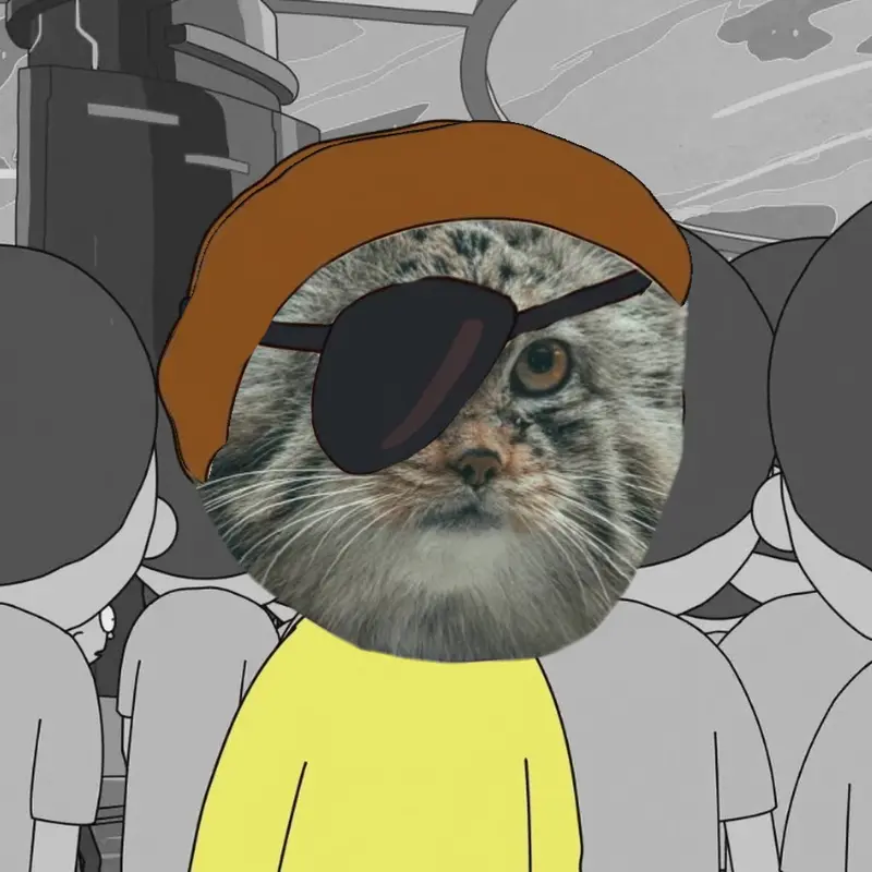 Angry manul