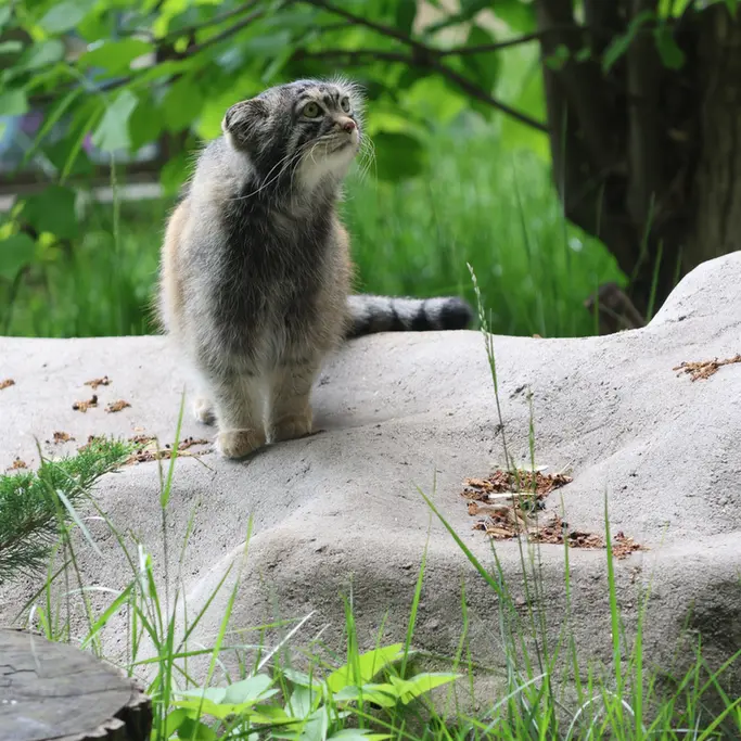A photograph of Timofey in Moscow zoo