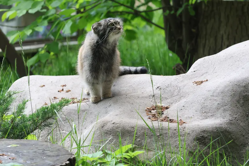 A photograph of Timofey in Moscow zoo