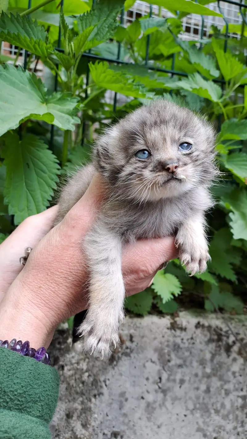 A photograph of Jack in Jihlava Zoo