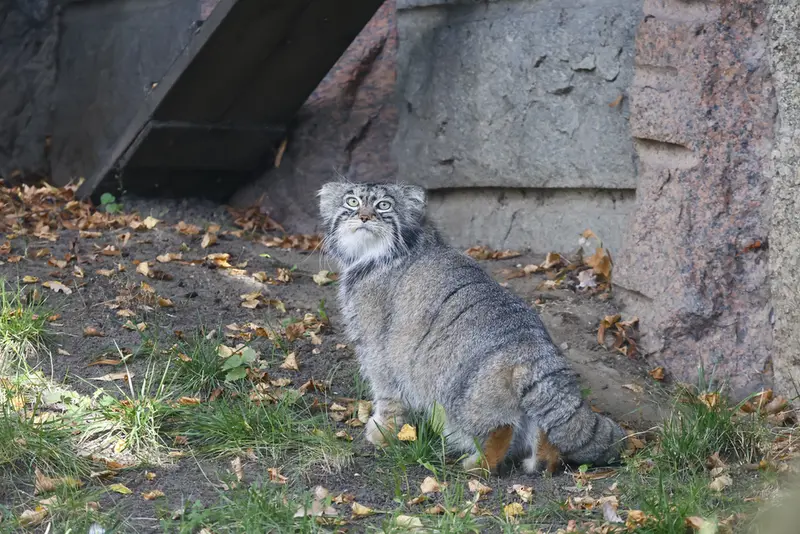 A photograph of Timofey in Moscow zoo