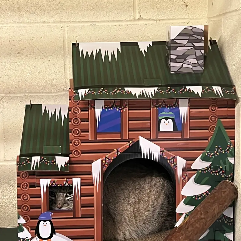 A photograph of Dean in Oglebay Good Zoo