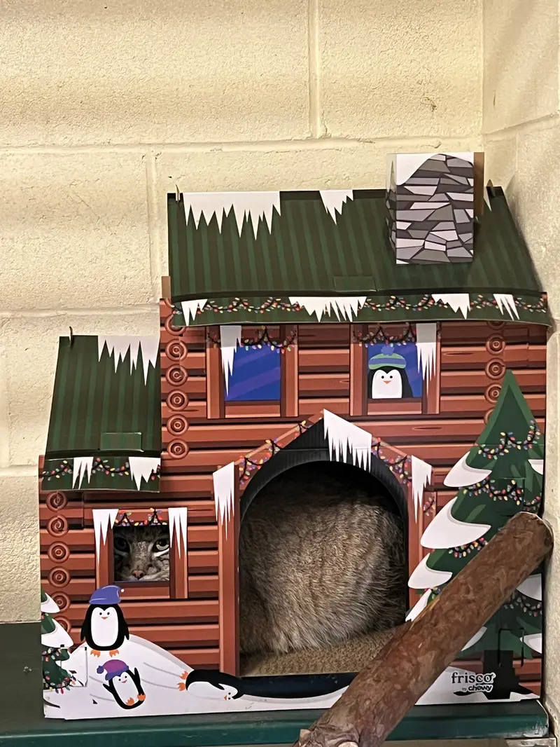 A photograph of Dean in Oglebay Good Zoo