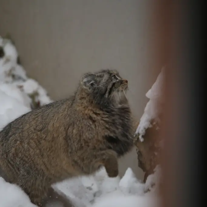A photograph of Ula in Gdansk Zoo