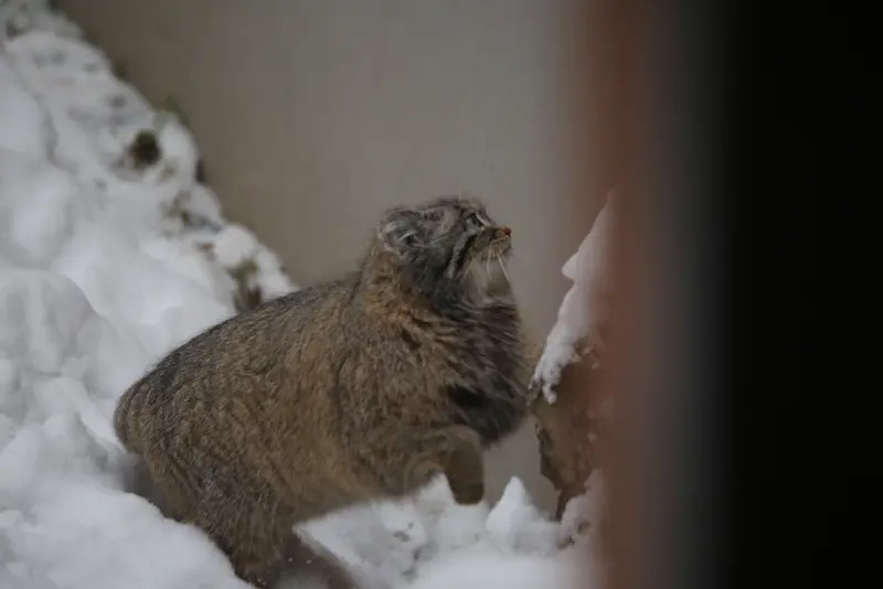 A photograph of Ula in Gdansk Zoo