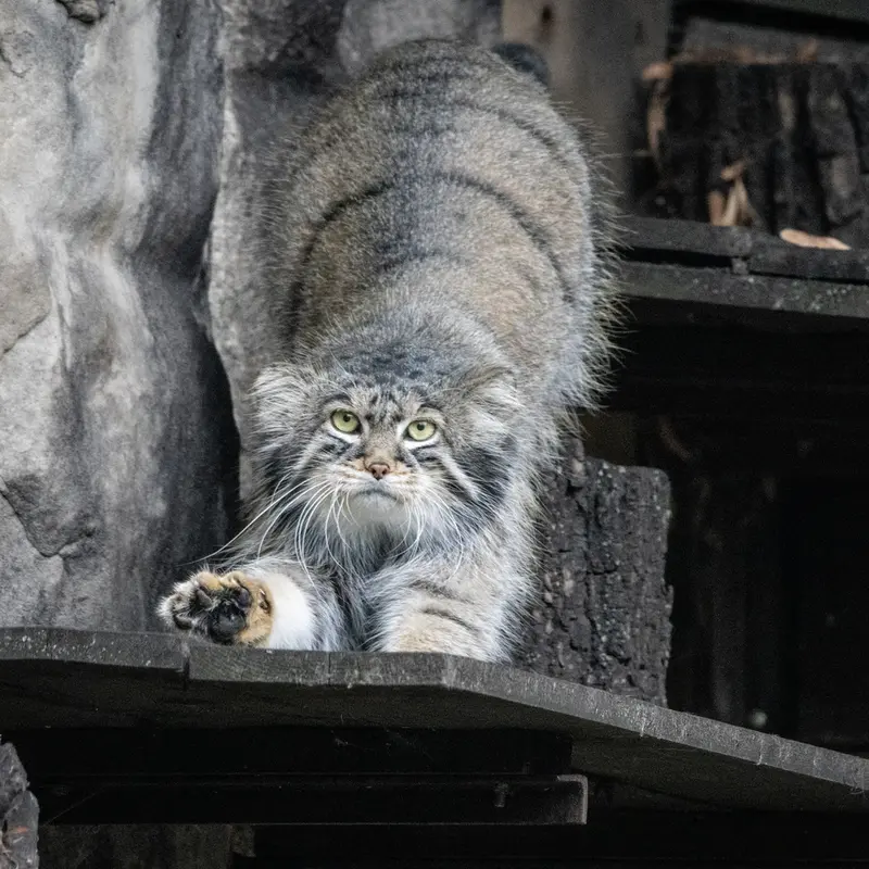 A photograph of Timofey in Moscow zoo