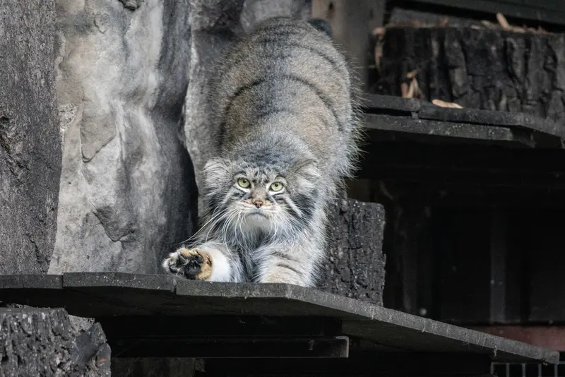 A photograph of Timofey in Moscow zoo
