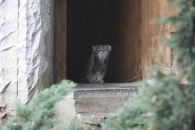 A photograph of Timofey in Moscow zoo