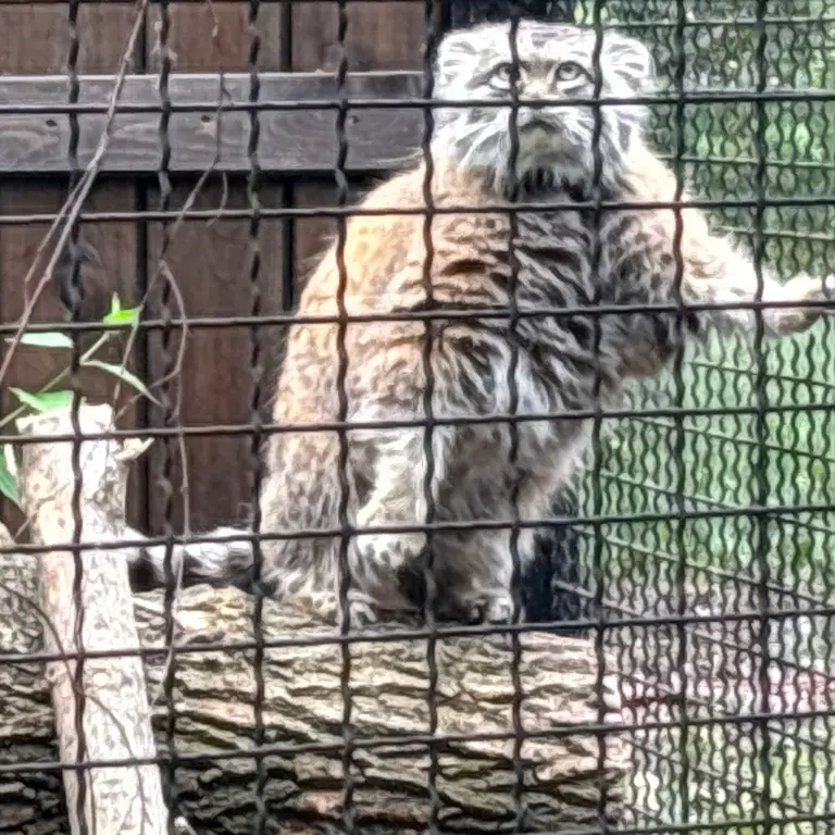 A photograph of Jessie in Warsaw Zoo